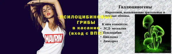 дурь Белоозёрский
