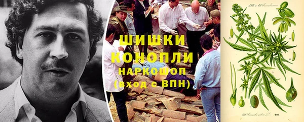 дурь Белоозёрский