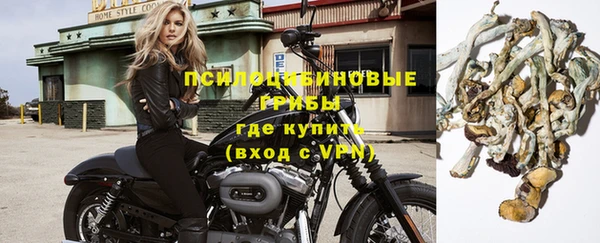 дурь Белоозёрский