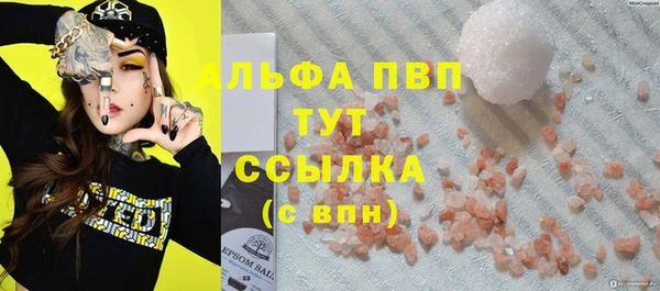 гидра Белокуриха