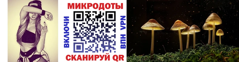 KRAKEN ССЫЛКА  Боровичи  Псилоцибиновые грибы Magic Shrooms  что такое  