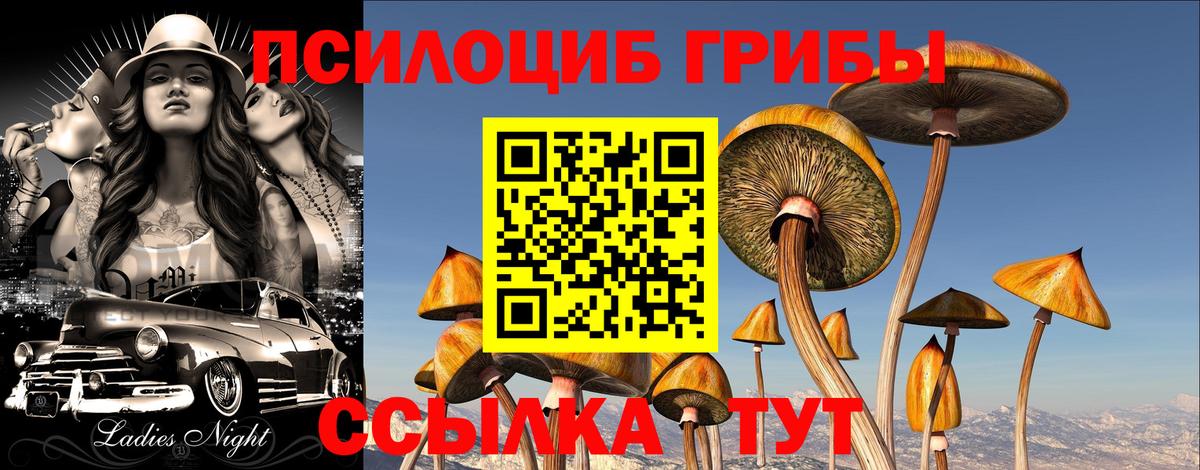 Боровичи  Псилоцибиновые грибы прущие грибы  закладка  Вход с VPN 