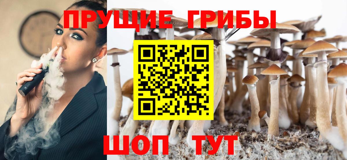 Галлюциногенные грибы мицелий Боровичи
