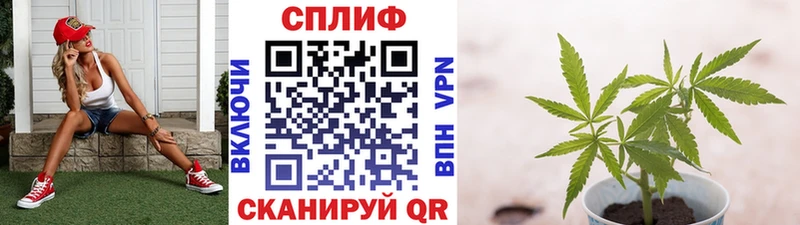 Шишки марихуана THC 21%  Боровичи 